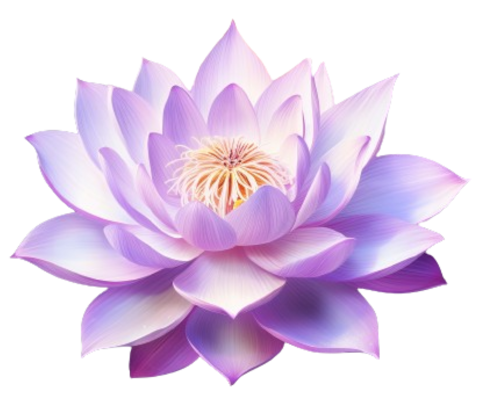 Dein Weg zur Selbstheilung- das Licht in Dir