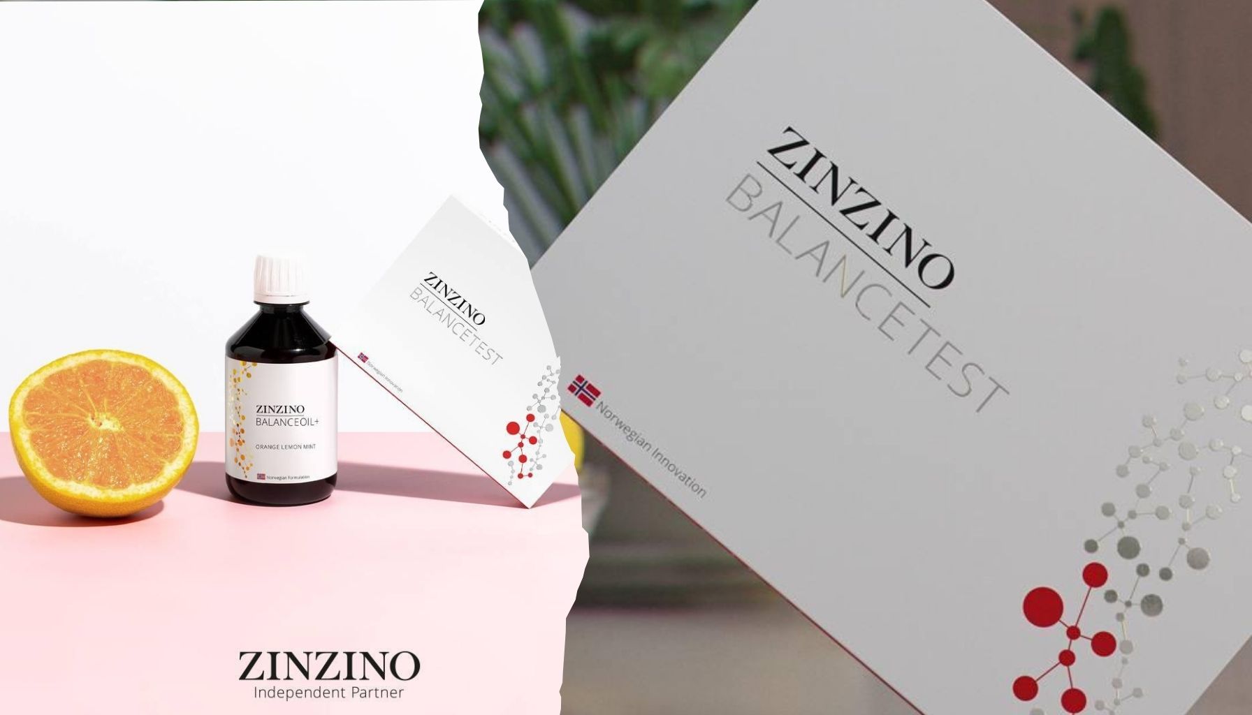 Zinzino Nahrungsergänzungsmittel für präventive Gesundheit